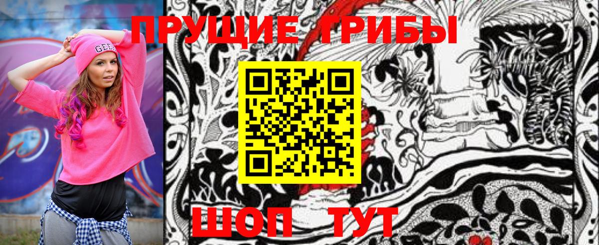 Псилоцибиновые грибы Psilocybe Воскресенск