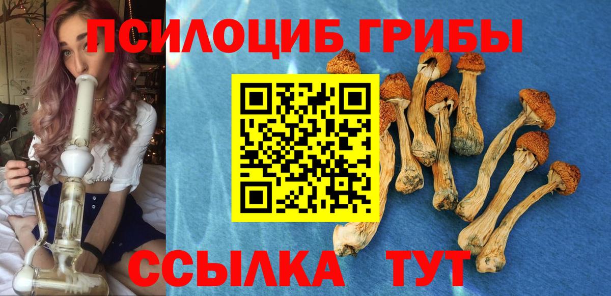 Псилоцибиновые грибы мицелий  Вход с VPN  Галлюциногенные грибы мицелий  Воскресенск 